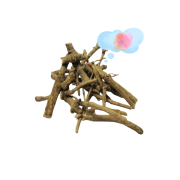 Plantas para tener Sueños Lúcidos