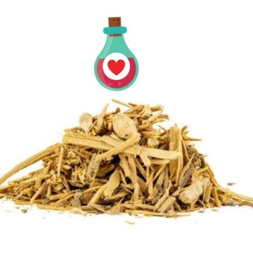 Plantas Afrodisíacas