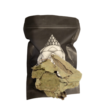 Salvia Divinorum