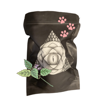 Catnip - Nepeta Cataria