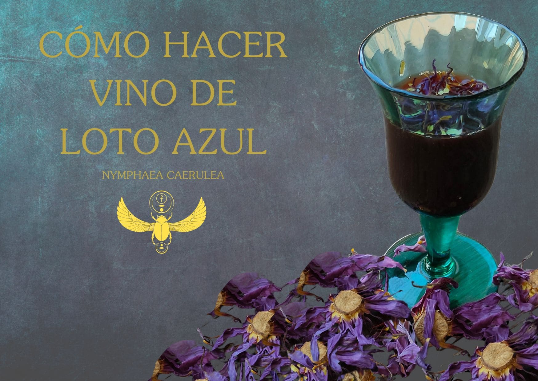 Cómo hacer vino de loto azul