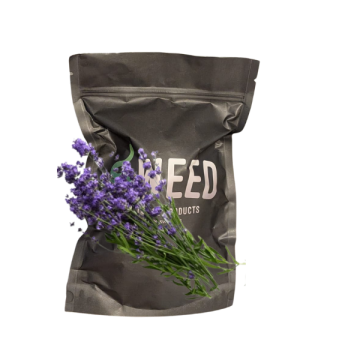 Lavanda